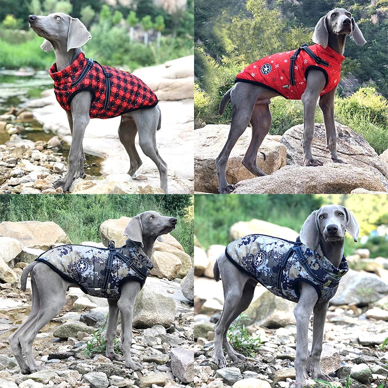 Pet Jacket With Harness Winter Warm Dog Clothes For Labrador Waterproof Big Dog Coat Chihuahua French Bulldog Outfits - Crazy Dream Deals